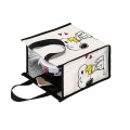 Portable Aluminum Foil Insulation Bag